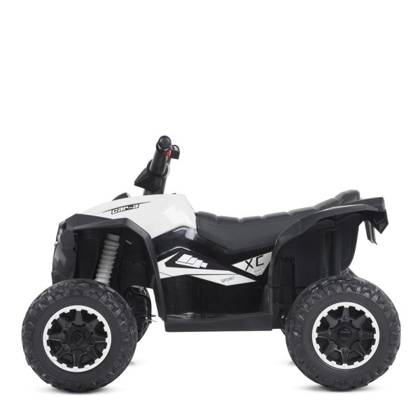 ����������  M 4959EBLR-1
