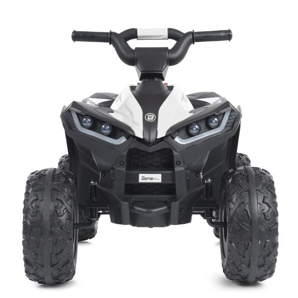 ����������  M 4959EBLR-1