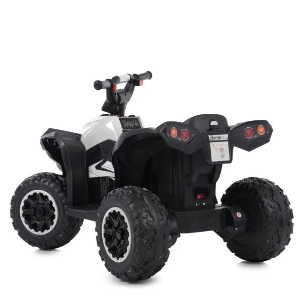 ����������  M 4959EBLR-1