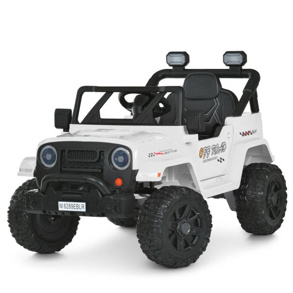 ���� M 6289EBLR-1