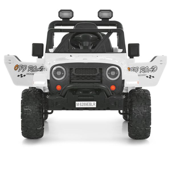 ���� M 6289EBLR-1