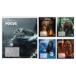 А5/36 кл. 1В Beasts in Focus, зошит учнівський загальний А5/36 кл. 1В Beasts in Focus, зошит учнівський загальний