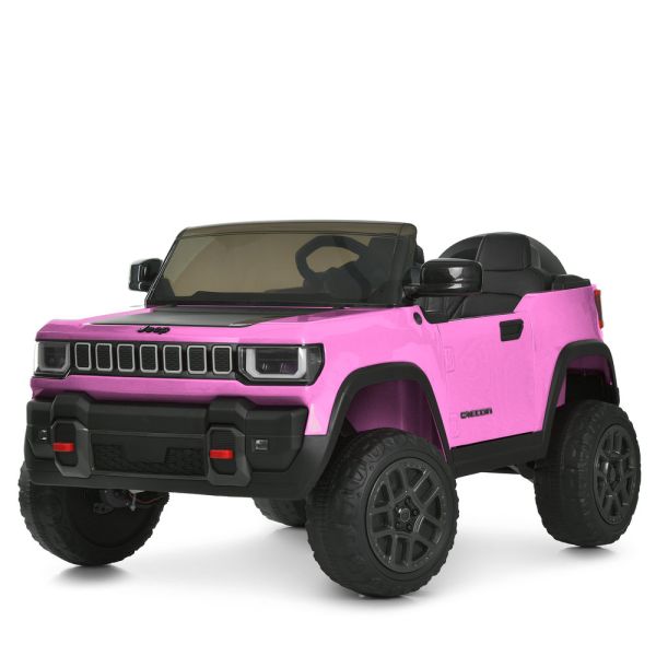 ���� JJ2500EBLR-8(24V)