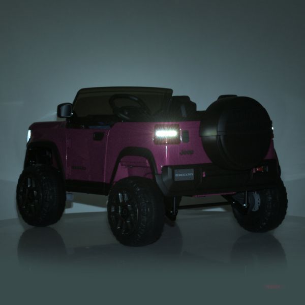 ���� JJ2500EBLR-8(24V)