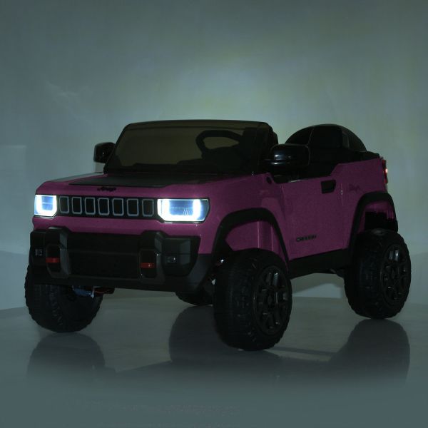 ���� JJ2500EBLR-8(24V)