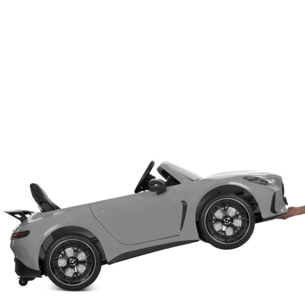 ������ M 6313EBLRS-11(24V)