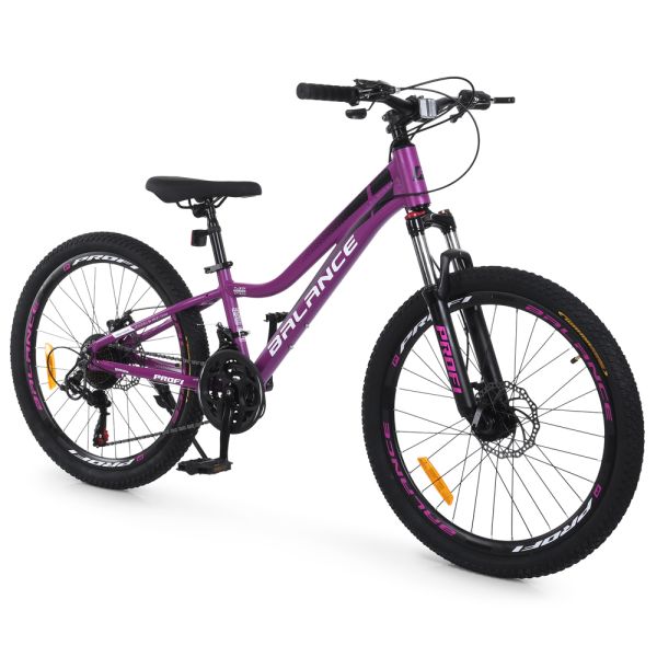 ��������� PROFI BALANCE 24 �. BL-2403
