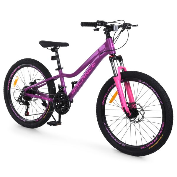 ��������� PROFI BALANCE 24 �. BL-2406
