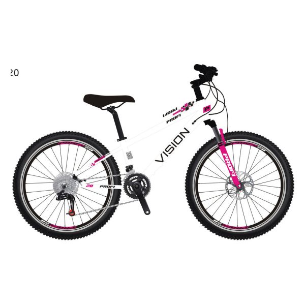 ��������� PROFI VISION 20 �. VS-2001
