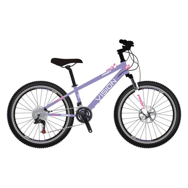 ��������� PROFI VISION 20 �. VS-2002