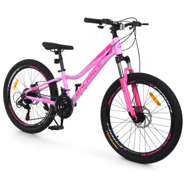 ��������� PROFI BALANCE 24 �. BL-2401