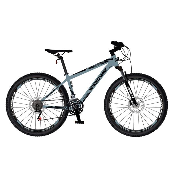 ��������� PROFI SPEEDWAY 29 �. SW-2908