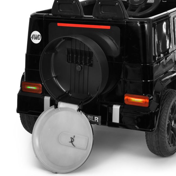 ���� M 6343EBLR-2