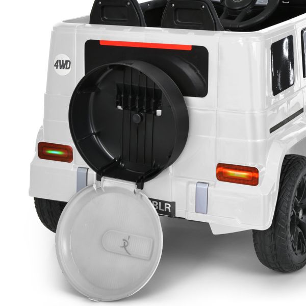���� M 6343EBLR-1