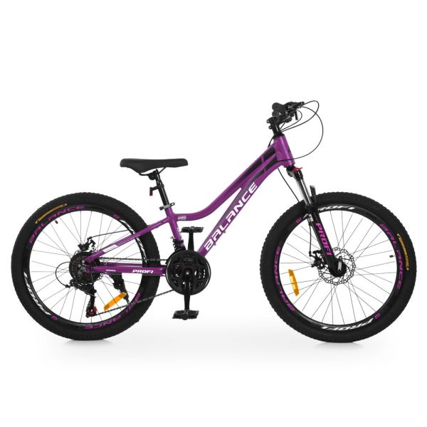 ��������� PROFI BALANCE 24 �. BL-2403