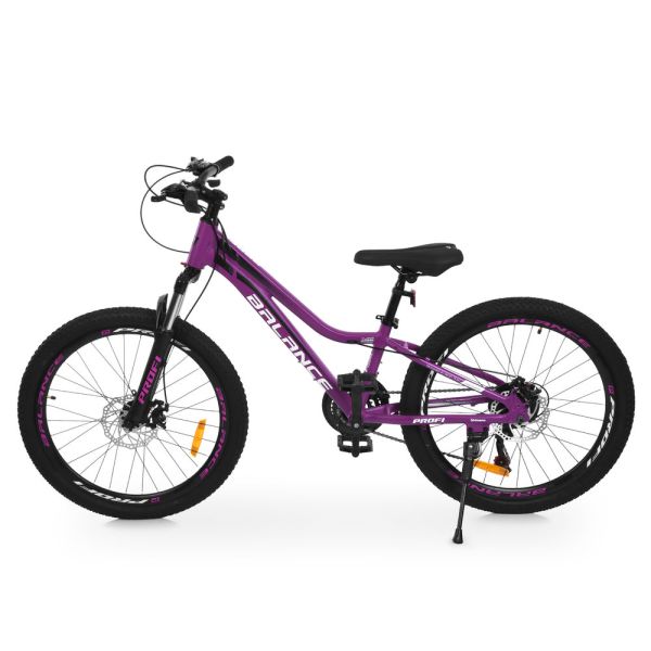 ��������� PROFI BALANCE 24 �. BL-2403