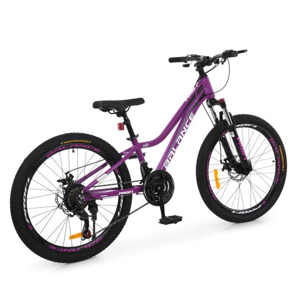 ��������� PROFI BALANCE 24 �. BL-2403