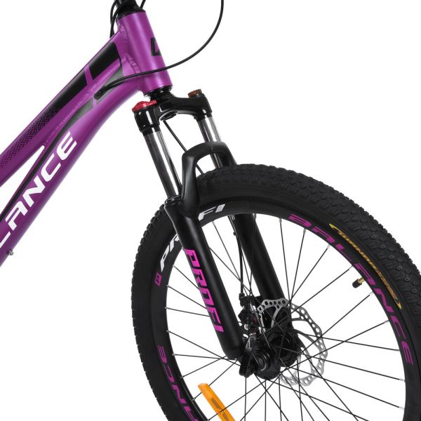 ��������� PROFI BALANCE 24 �. BL-2403