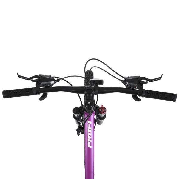 ��������� PROFI BALANCE 24 �. BL-2403