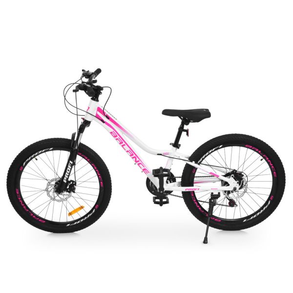 ��������� PROFI BALANCE 24 �. BL-2404