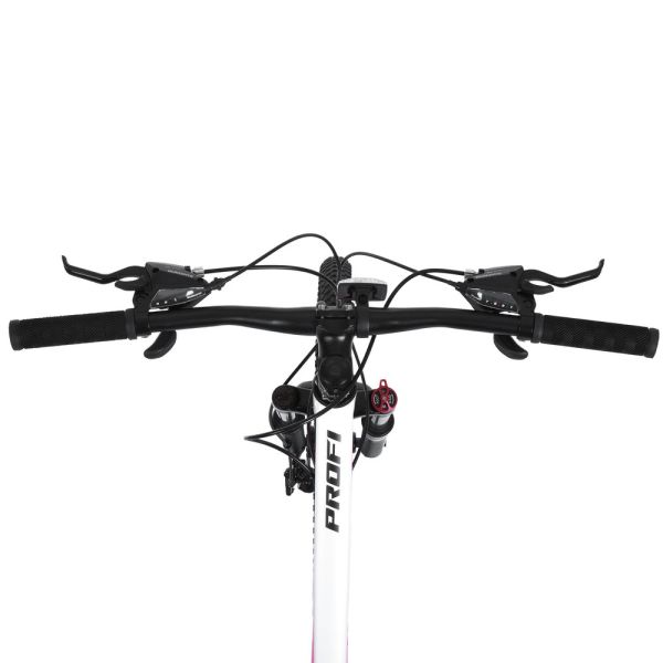 ��������� PROFI BALANCE 24 �. BL-2404