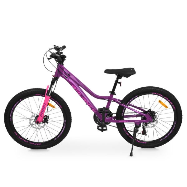 ��������� PROFI BALANCE 24 �. BL-2406