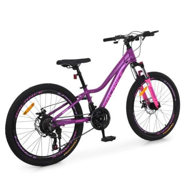 ��������� PROFI BALANCE 24 �. BL-2406