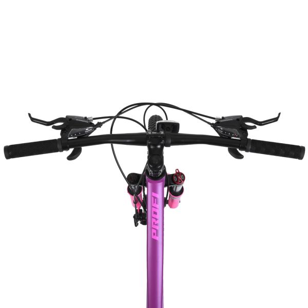 ��������� PROFI BALANCE 24 �. BL-2406