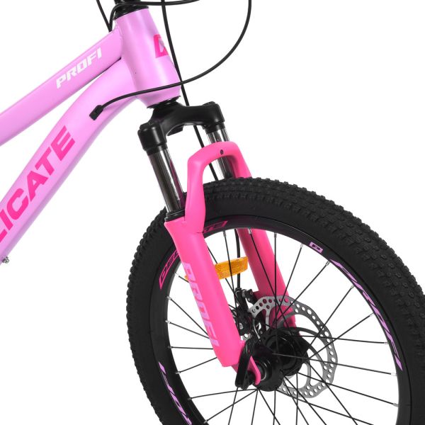 ��������� PROFI DELICATE 20 �. DL-2001