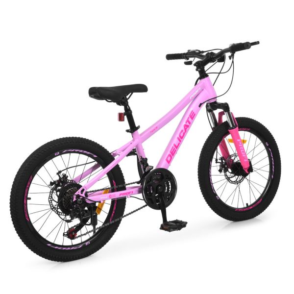 ��������� PROFI DELICATE 20 �. DL-2001