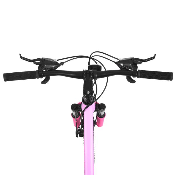 ��������� PROFI DELICATE 20 �. DL-2001