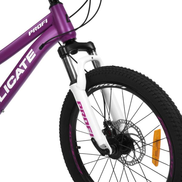 ��������� PROFI DELICATE 20 �. DL-2002