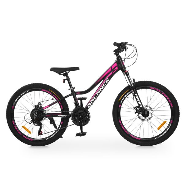 ��������� PROFI BALANCE 24 �. BL-2405