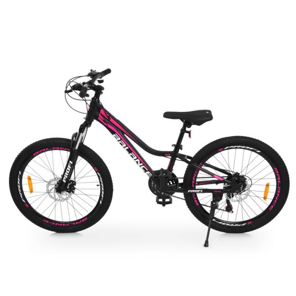 ��������� PROFI BALANCE 24 �. BL-2405