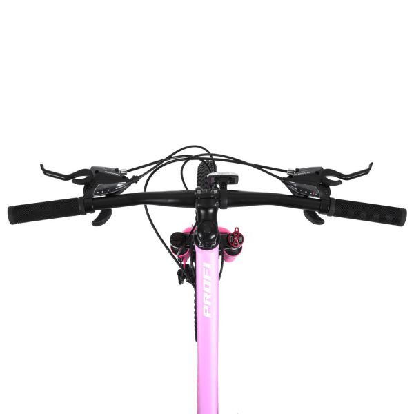 ��������� PROFI BALANCE 20 �. BL-2001
