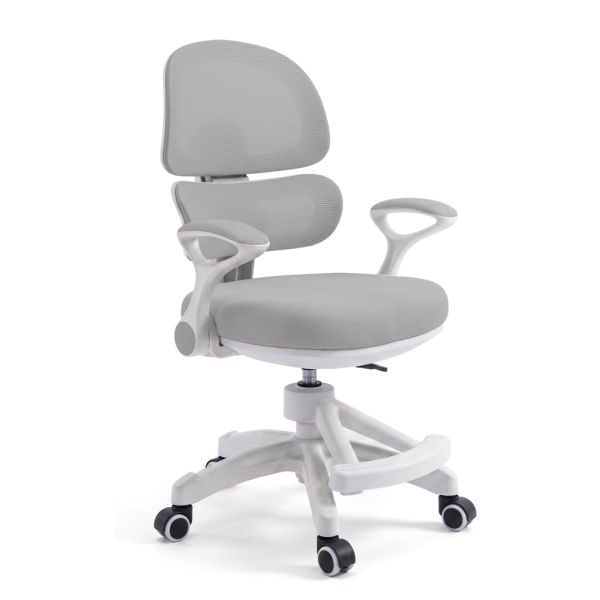 ������ ����� M 6482-11