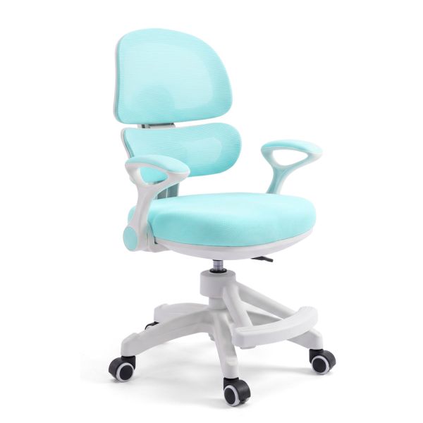 ������ ����� M 6482-4