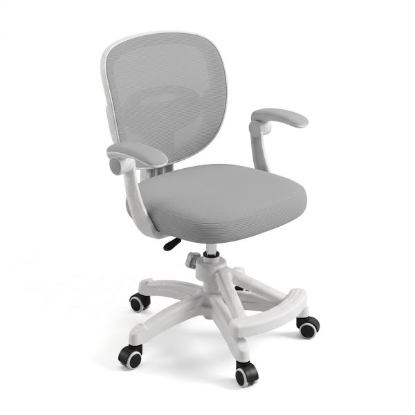 ������ ����� M 6483-11