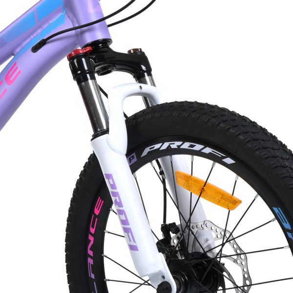 ��������� PROFI BALANCE 20 �. BL-2002