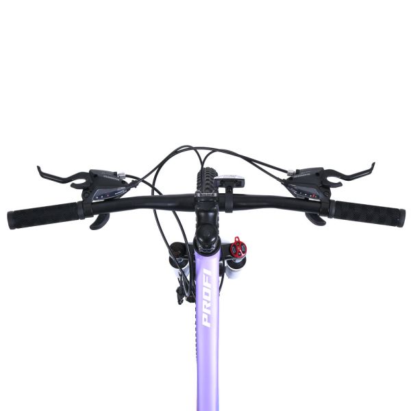 ��������� PROFI BALANCE 20 �. BL-2002