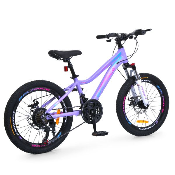 ��������� PROFI BALANCE 20 �. BL-2002