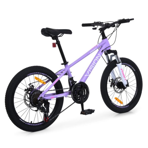 ��������� PROFI VISION 20 �. VS-2002