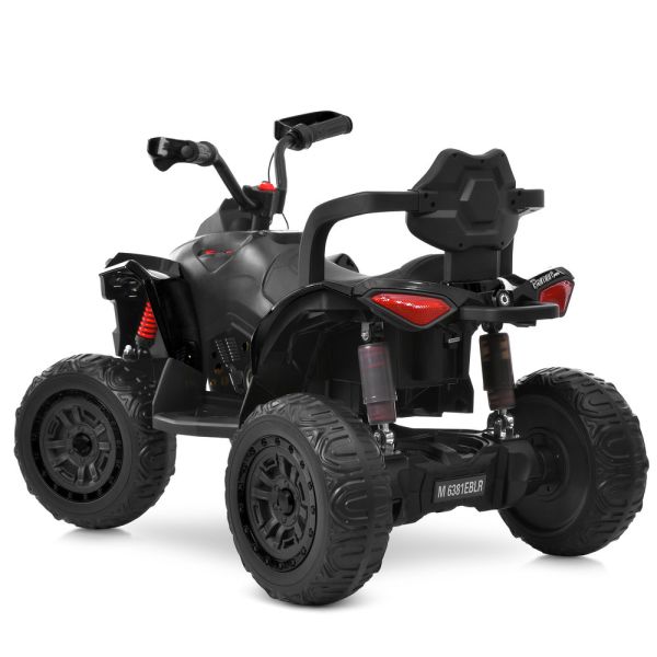 ���������� M 6381EBLR-2
