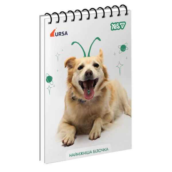����� ��� ������ Yes �6/80 ��.������ "Ursa ͳ��� ������" ���