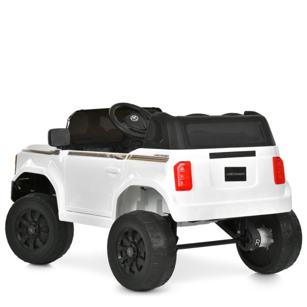 ���� 2155FDEBLR-1(24V)
