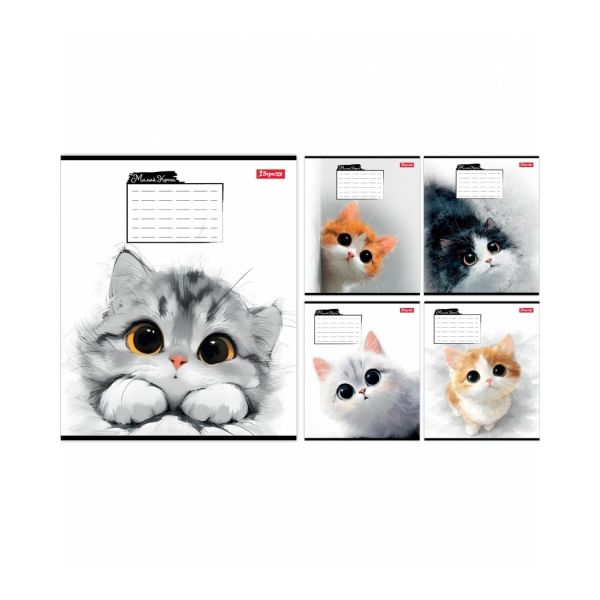 ����� ���������� 1� "Little cat" �5/12 ��.