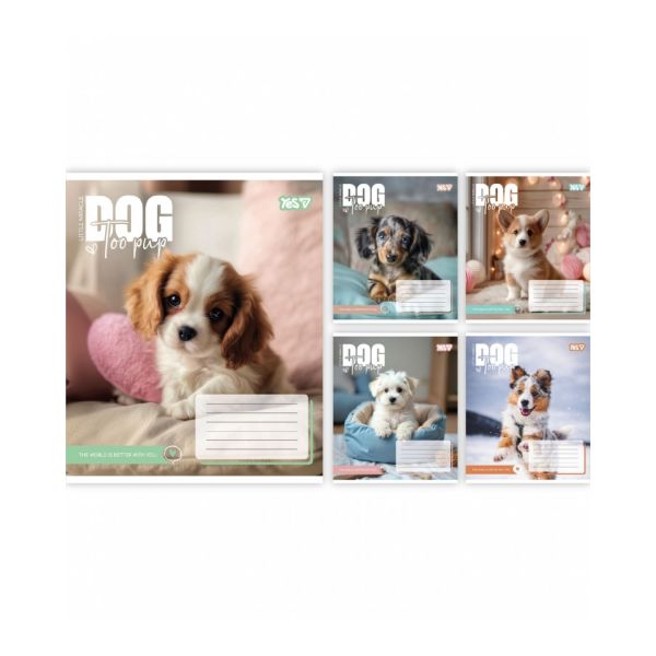 ����� ���������� Yes "Dog too pup" �5/12 ���.