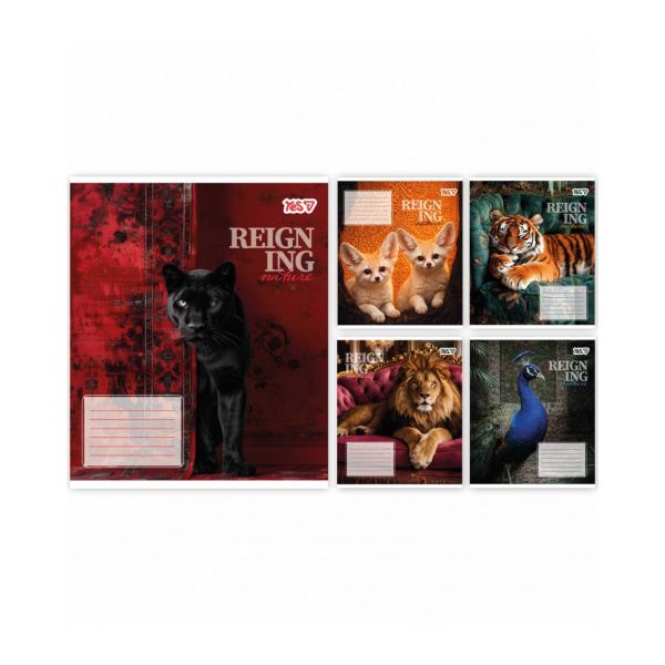 ����� ���������� Yes "Reign ing" �5/48 ��.