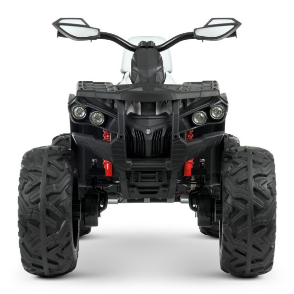 ���������� M 4795EBLR-1