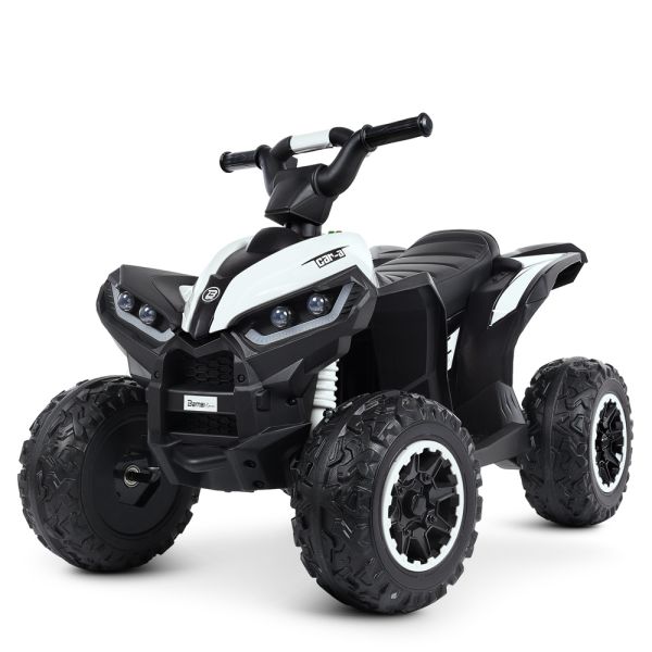 ����������  M 4959EBLR-1